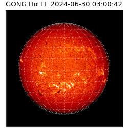 gong - 2024-06-30T03:00:42