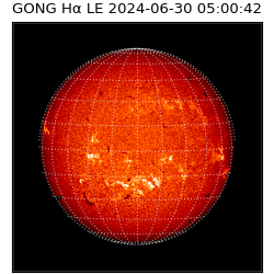 gong - 2024-06-30T05:00:42