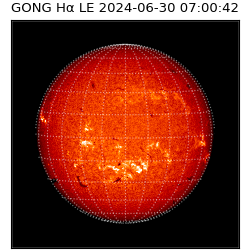 gong - 2024-06-30T07:00:42
