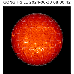 gong - 2024-06-30T08:00:42