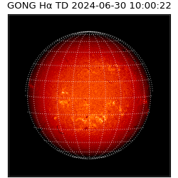 gong - 2024-06-30T10:00:22