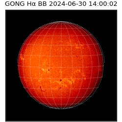 gong - 2024-06-30T14:00:02