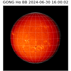 gong - 2024-06-30T16:00:02