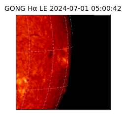 gong - 2024-07-01T05:00:42