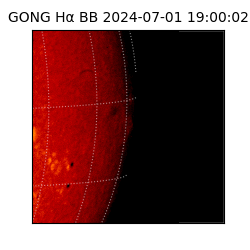 gong - 2024-07-01T19:00:02