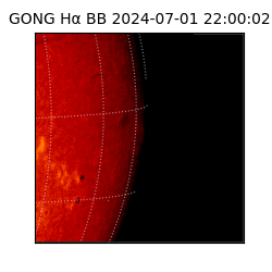 gong - 2024-07-01T22:00:02