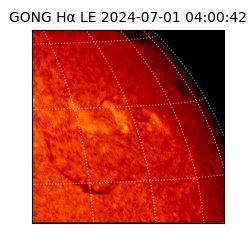 gong - 2024-07-01T04:00:42