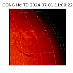 gong - 2024-07-01T11:00:22