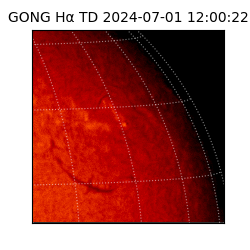 gong - 2024-07-01T12:00:22