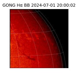 gong - 2024-07-01T20:00:02