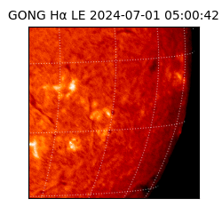 gong - 2024-07-01T05:00:42