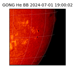 gong - 2024-07-01T19:00:02