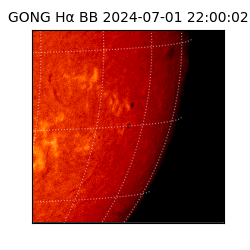 gong - 2024-07-01T22:00:02