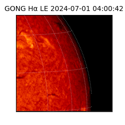 gong - 2024-07-01T04:00:42