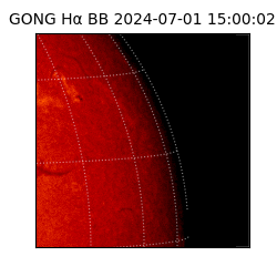 gong - 2024-07-01T15:00:02