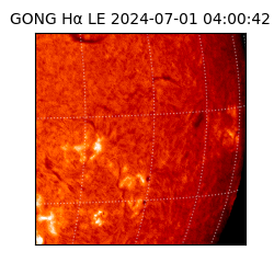 gong - 2024-07-01T04:00:42