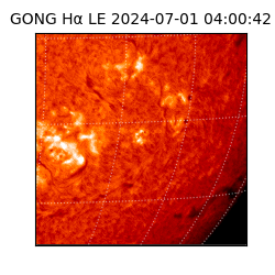 gong - 2024-07-01T04:00:42