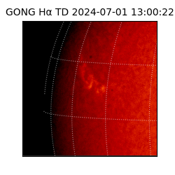 gong - 2024-07-01T13:00:22