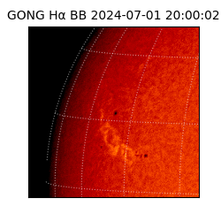 gong - 2024-07-01T20:00:02