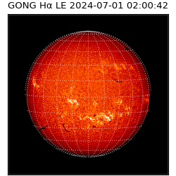 gong - 2024-07-01T02:00:42