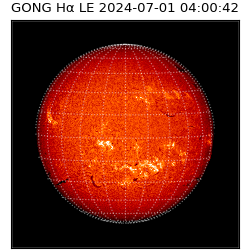 gong - 2024-07-01T04:00:42