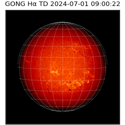 gong - 2024-07-01T09:00:22