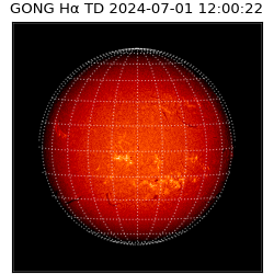gong - 2024-07-01T12:00:22