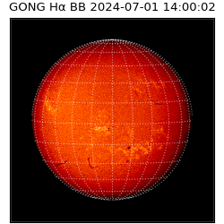 gong - 2024-07-01T14:00:02