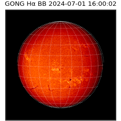 gong - 2024-07-01T16:00:02