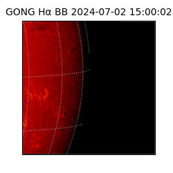 gong - 2024-07-02T15:00:02