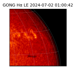 gong - 2024-07-02T01:00:42