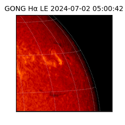 gong - 2024-07-02T05:00:42