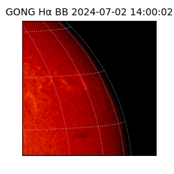 gong - 2024-07-02T14:00:02