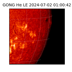 gong - 2024-07-02T01:00:42