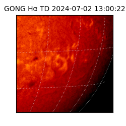 gong - 2024-07-02T13:00:22