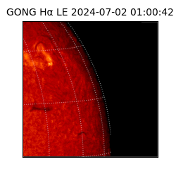 gong - 2024-07-02T01:00:42