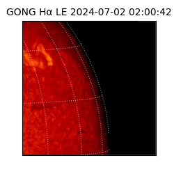 gong - 2024-07-02T02:00:42