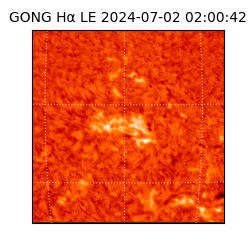 gong - 2024-07-02T02:00:42