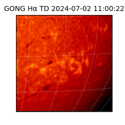 gong - 2024-07-02T11:00:22