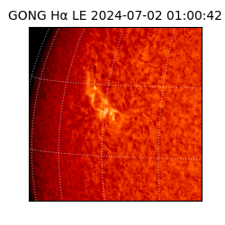 gong - 2024-07-02T01:00:42