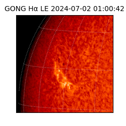 gong - 2024-07-02T01:00:42