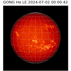 gong - 2024-07-02T00:00:42