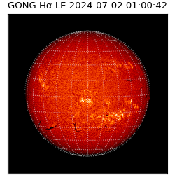 gong - 2024-07-02T01:00:42