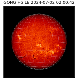 gong - 2024-07-02T02:00:42