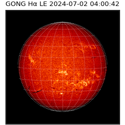 gong - 2024-07-02T04:00:42