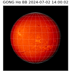 gong - 2024-07-02T14:00:02