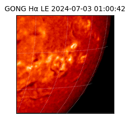 gong - 2024-07-03T01:00:42