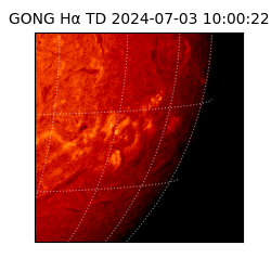 gong - 2024-07-03T10:00:22
