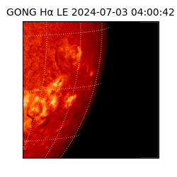 gong - 2024-07-03T04:00:42