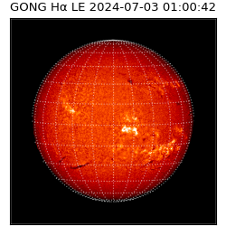 gong - 2024-07-03T01:00:42